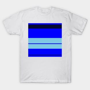 A refined unity of Lightblue, Blue, Darkblue and Cetacean Blue stripes. T-Shirt